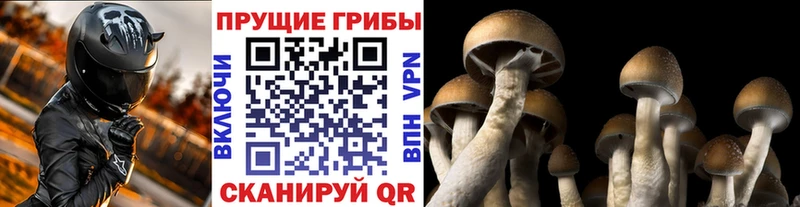 даркнет сайт  Егорьевск  Галлюциногенные грибы мухоморы 