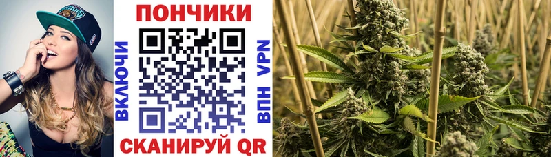 дарнет шоп  сайты даркнета телеграм  Бошки Шишки сатива  Егорьевск 